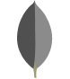 mongodb